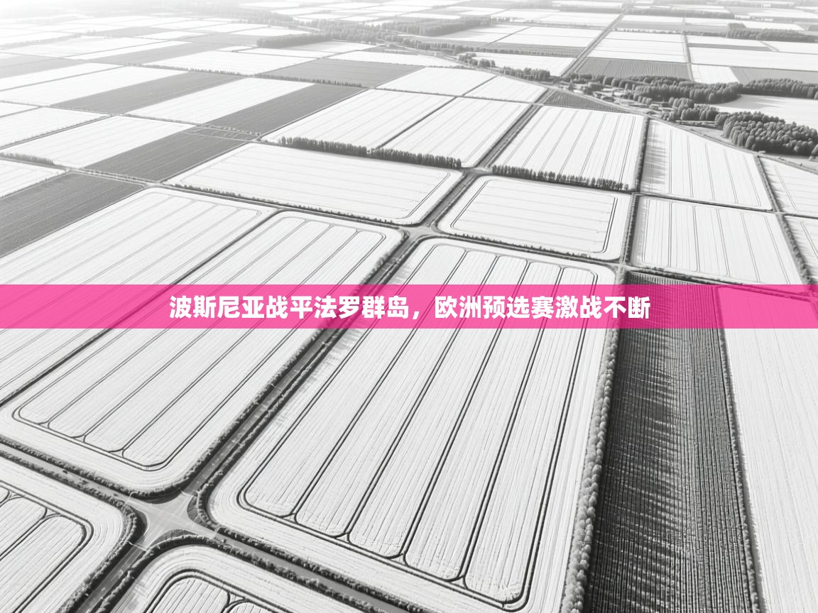 波斯尼亚战平法罗群岛，欧洲预选赛激战不断  第2张