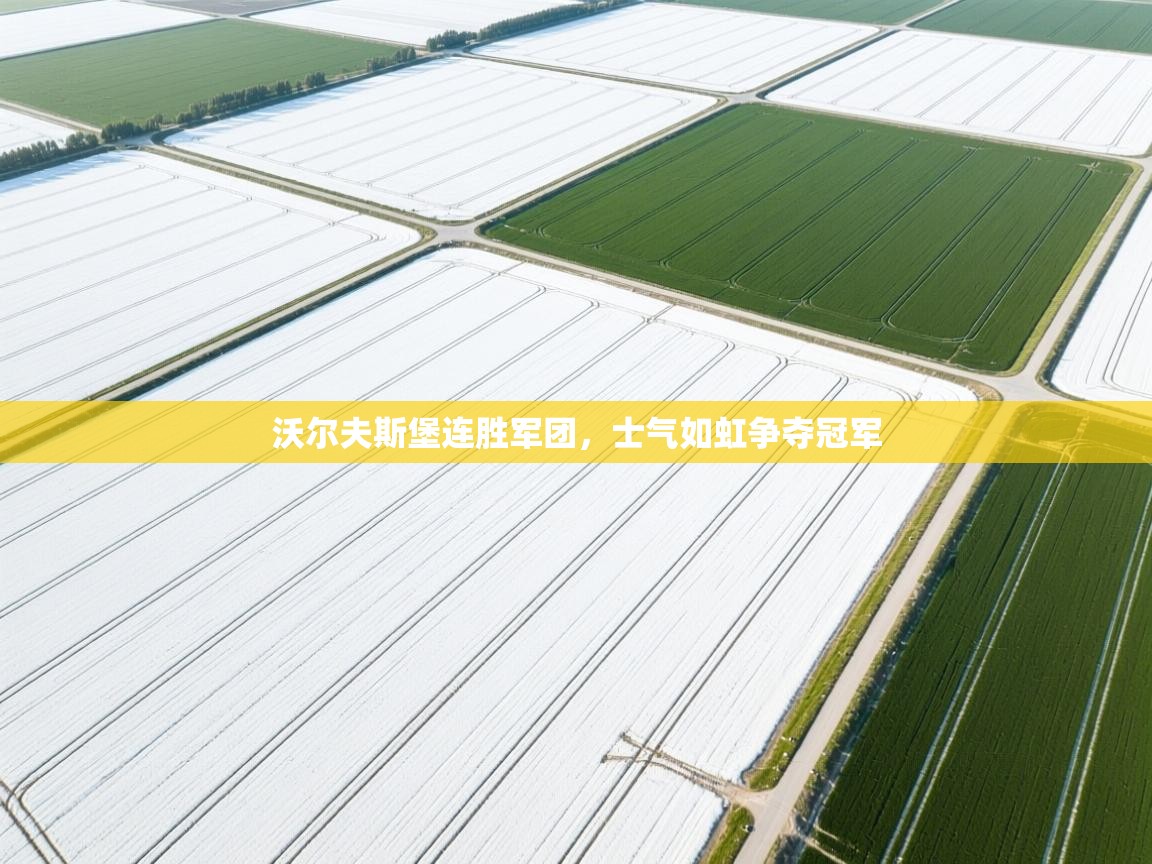 沃尔夫斯堡连胜军团,士气如虹争夺冠军 沃尔夫斯堡连胜军团,士气如虹争夺冠军