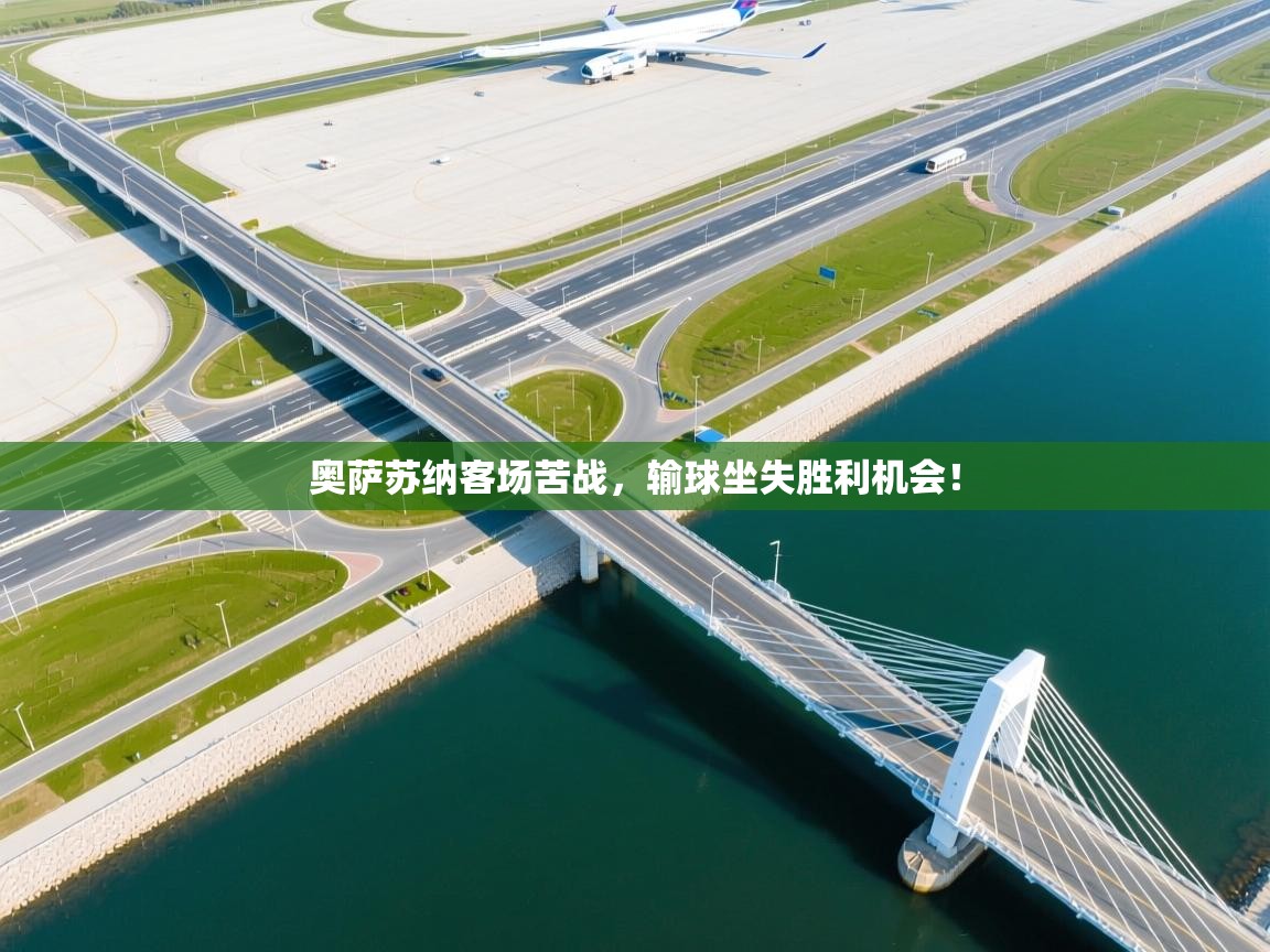 奥萨苏纳客场苦战，输球坐失胜利机会！  第1张