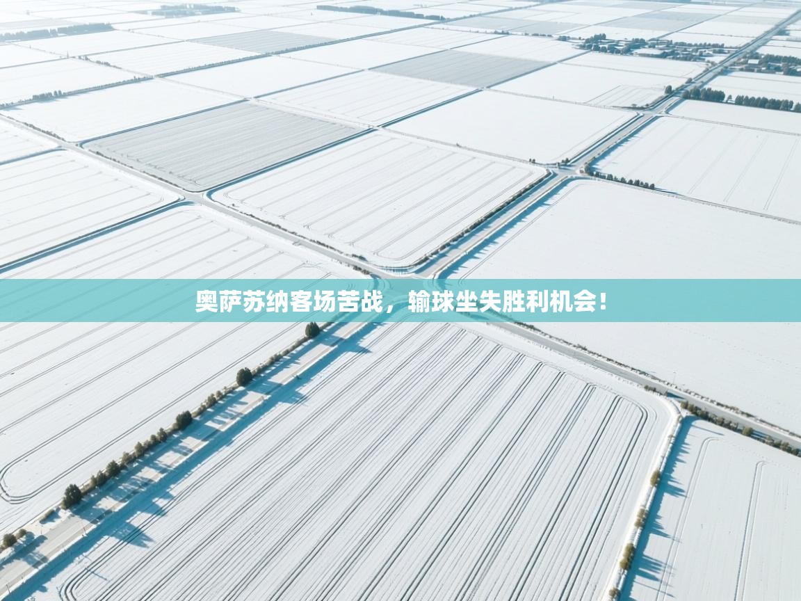 奥萨苏纳客场苦战，输球坐失胜利机会！  第2张