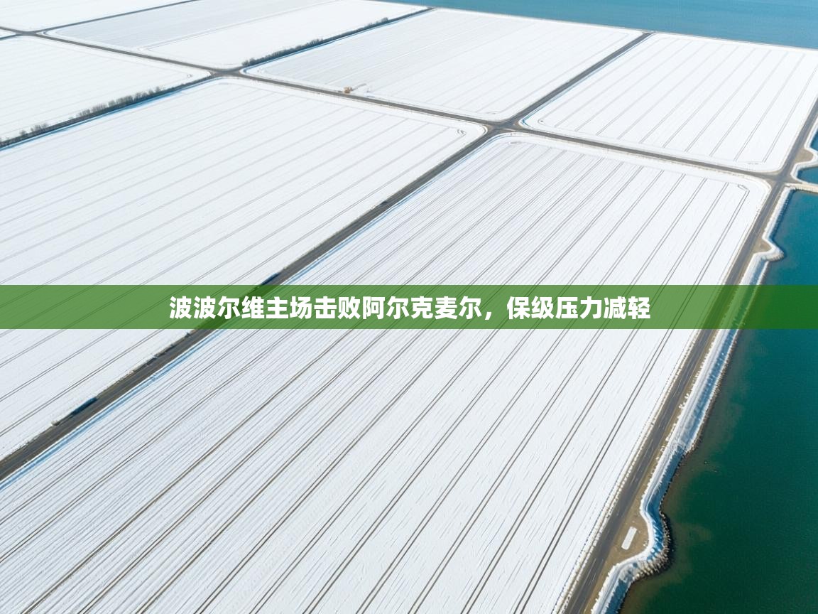 波波尔维主场击败阿尔克麦尔,保级压力减轻 第2张