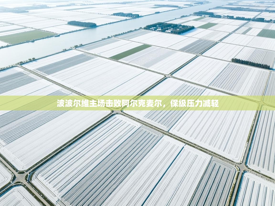 波波尔维主场击败阿尔克麦尔,保级压力减轻 第1张