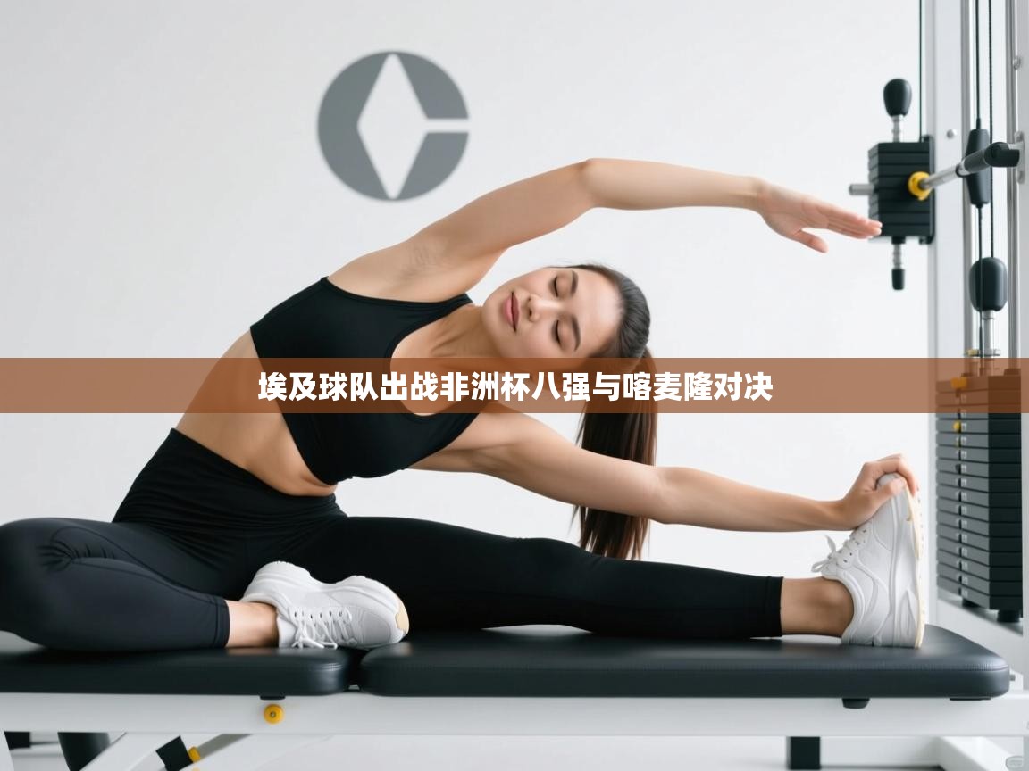 埃及球队出战非洲杯八强与喀麦隆对决 第1张