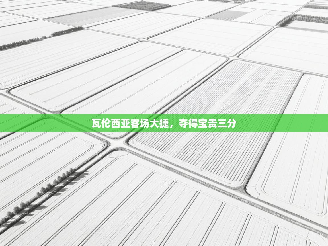 瓦伦西亚客场大捷，夺得宝贵三分