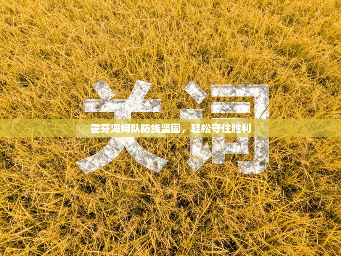 霍芬海姆队防线坚固，轻松守住胜利  第1张