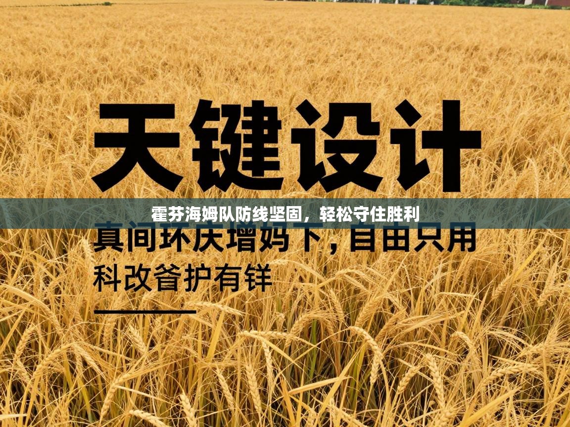 霍芬海姆队防线坚固，轻松守住胜利  第2张