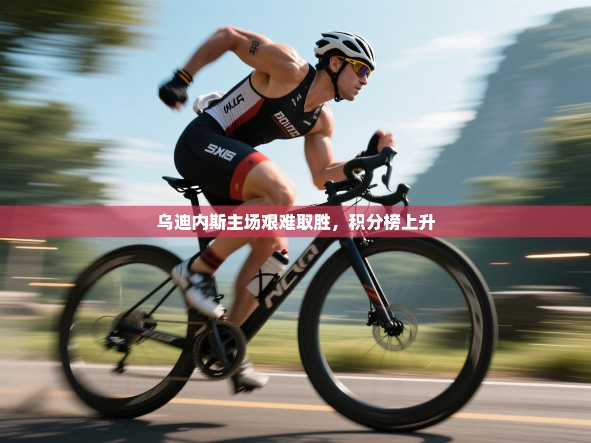 乌迪内斯主场艰难取胜,积分榜上升 第2张