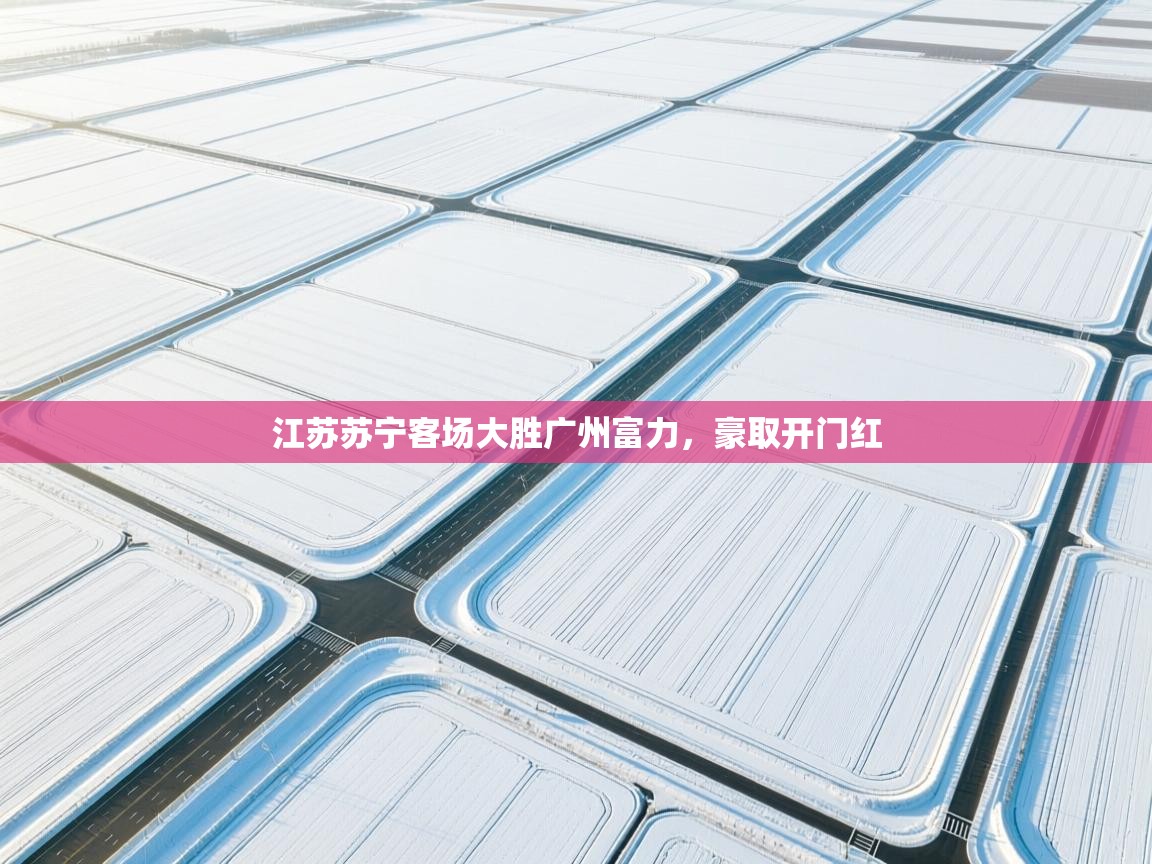 江苏苏宁客场大胜广州富力,豪取开门红 第1张