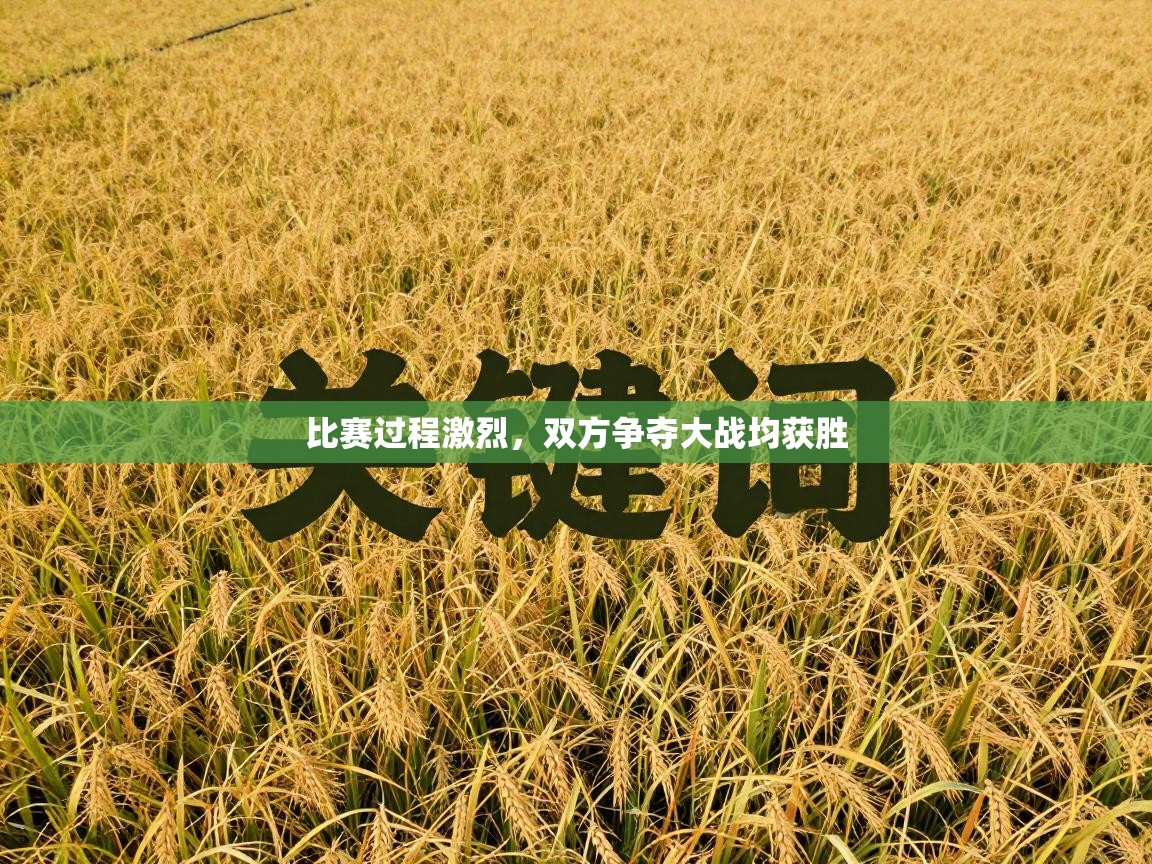 比赛过程激烈,双方争夺大战均获胜 第1张